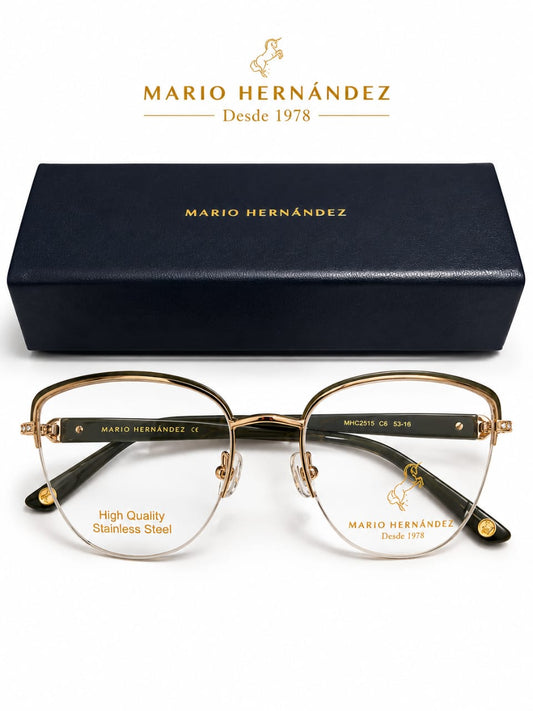 MARIO HERNANDEZ