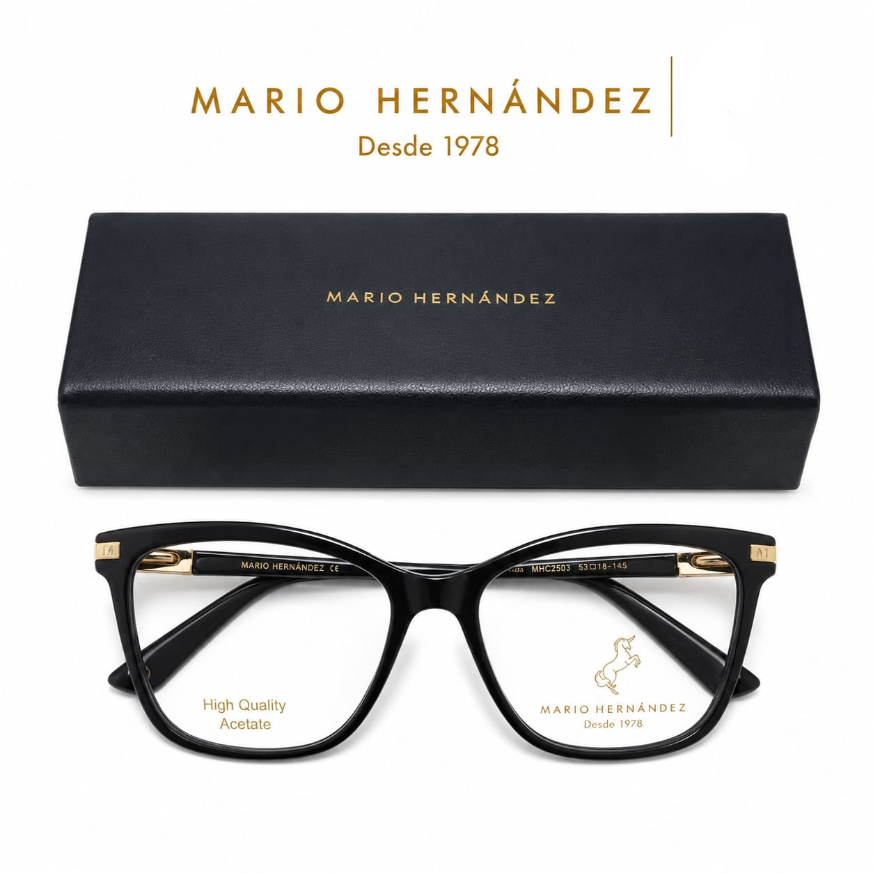 MARIO HERNANDEZ