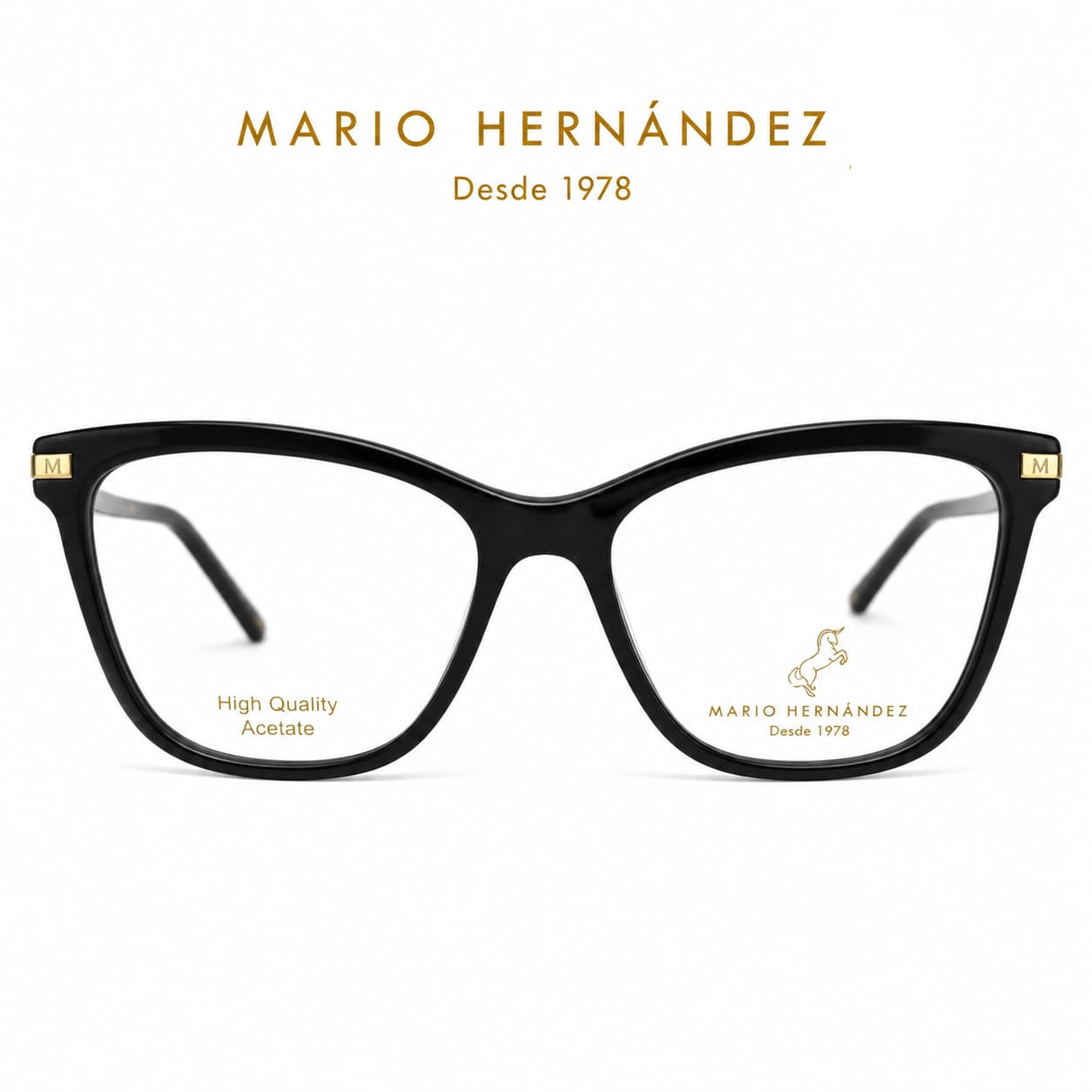 MARIO HERNANDEZ