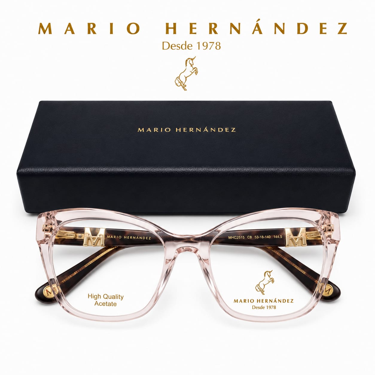 MARIO HERNANDEZ