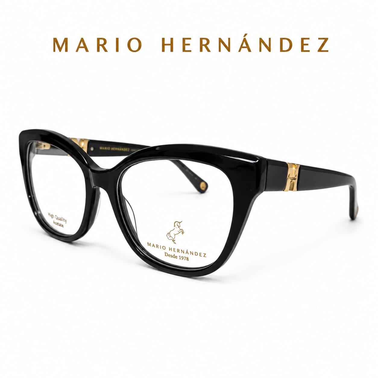 MARIO HERNANDEZ