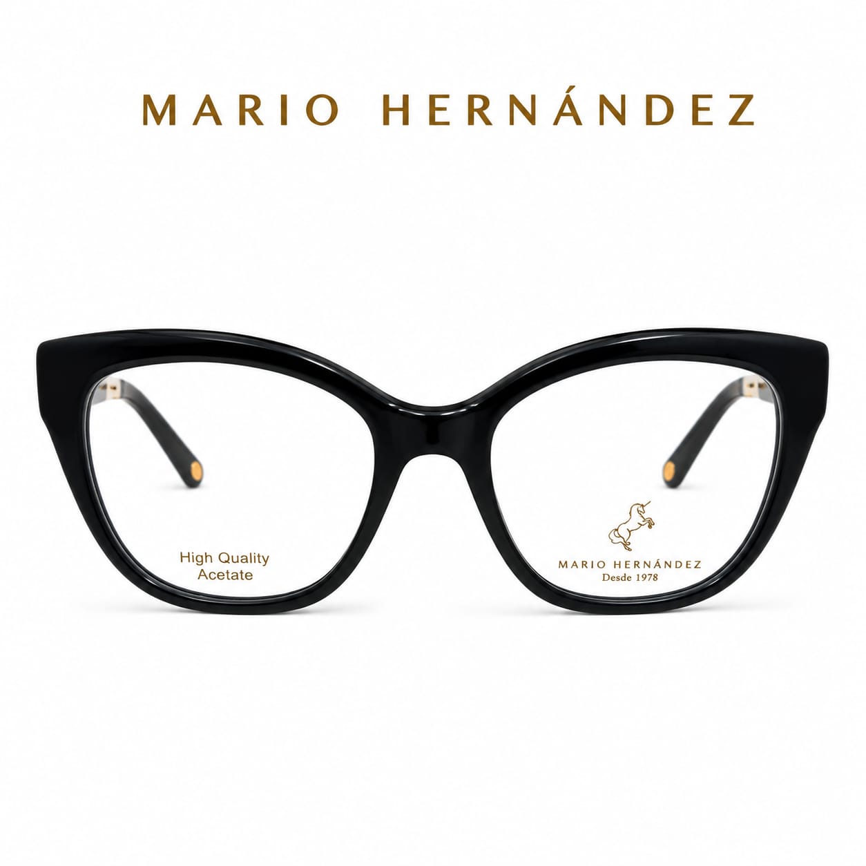MARIO HERNANDEZ