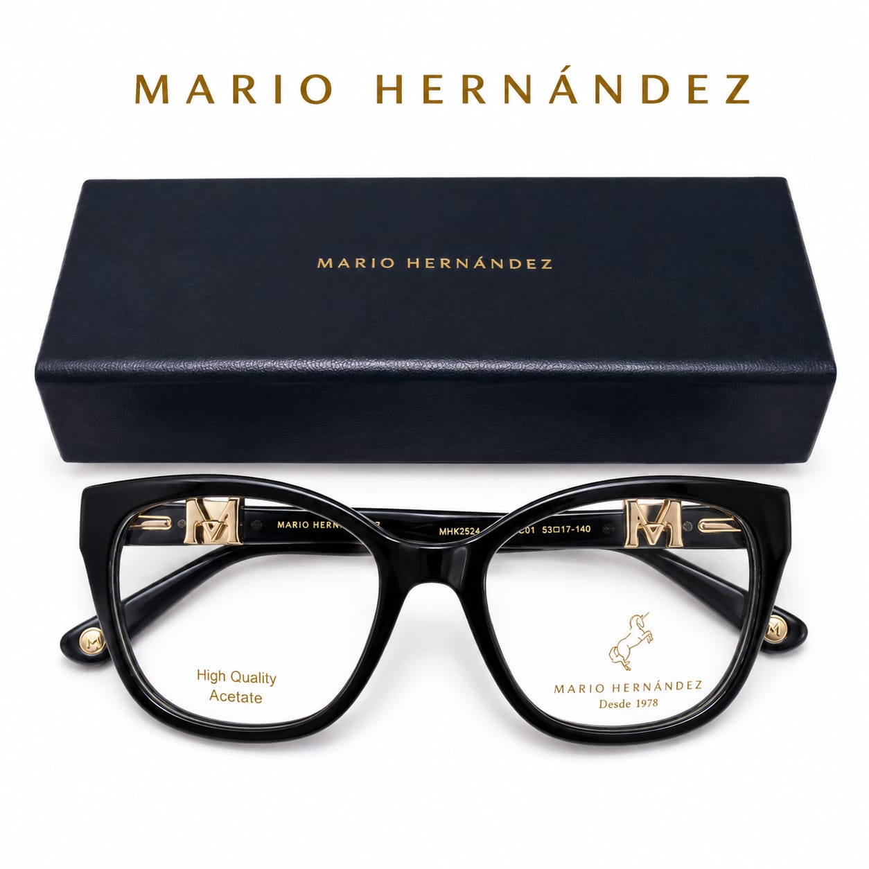 MARIO HERNANDEZ