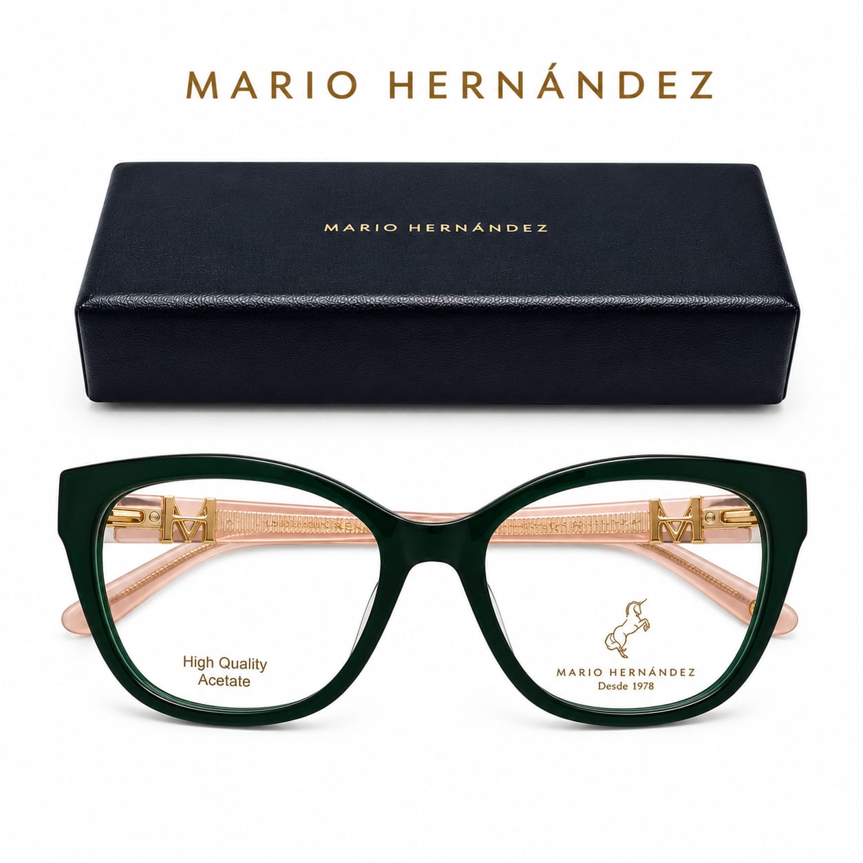 MARIO HERNANDEZ