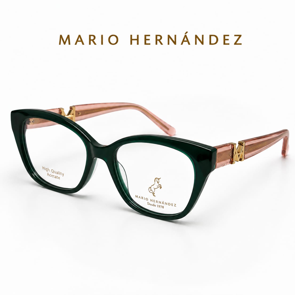 MARIO HERNANDEZ