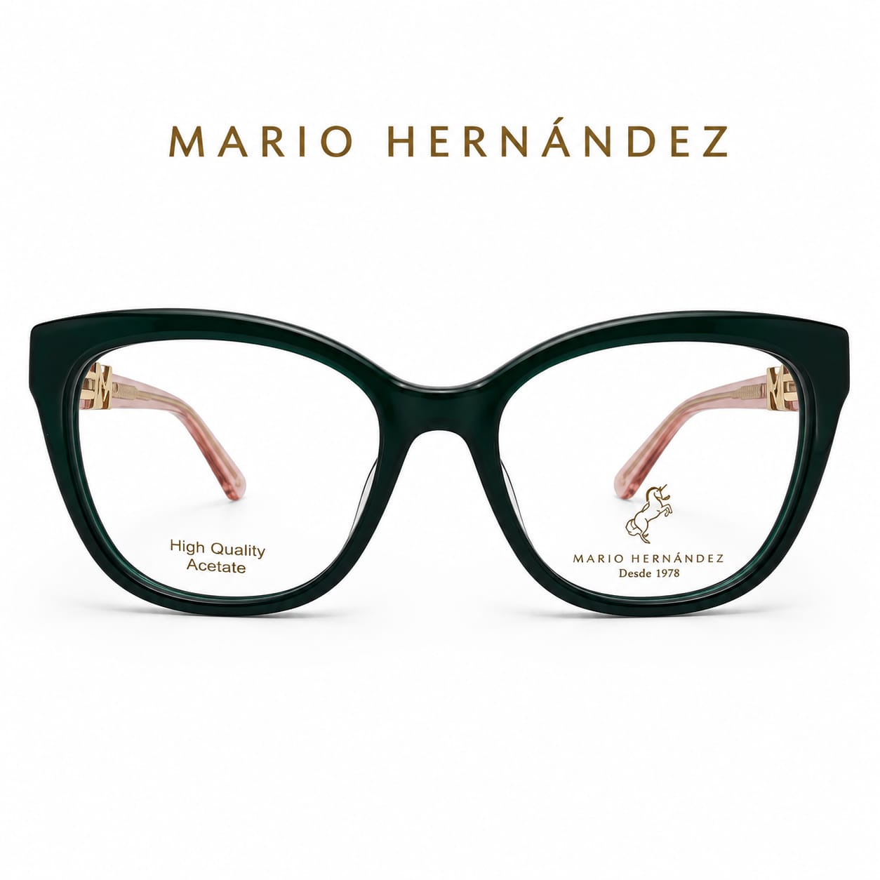 MARIO HERNANDEZ