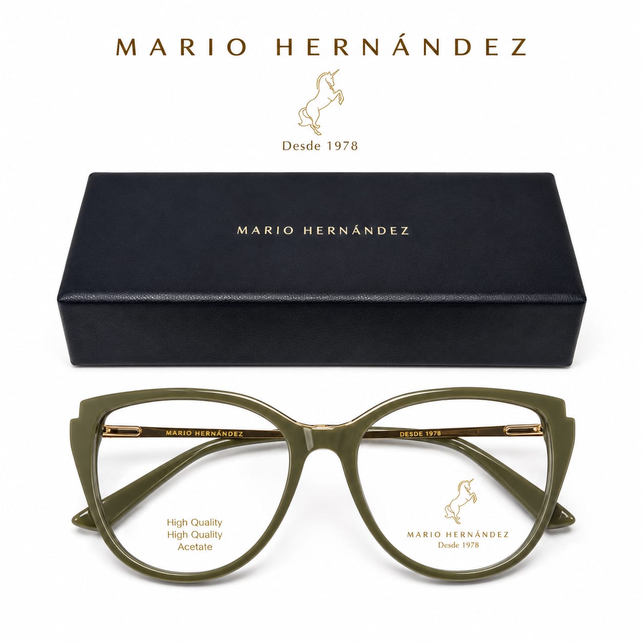 MARIO HERNANDEZ