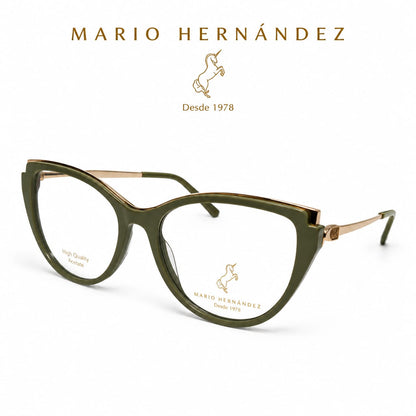 MARIO HERNANDEZ