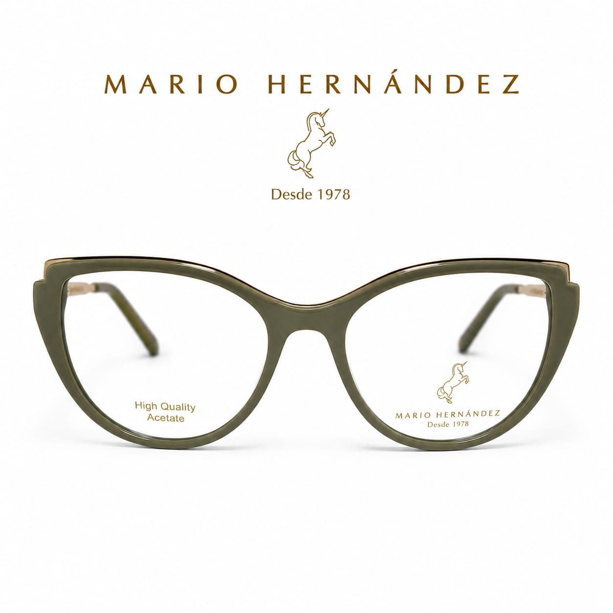 MARIO HERNANDEZ