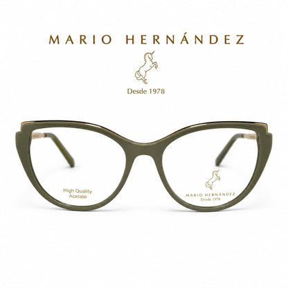 MARIO HERNANDEZ