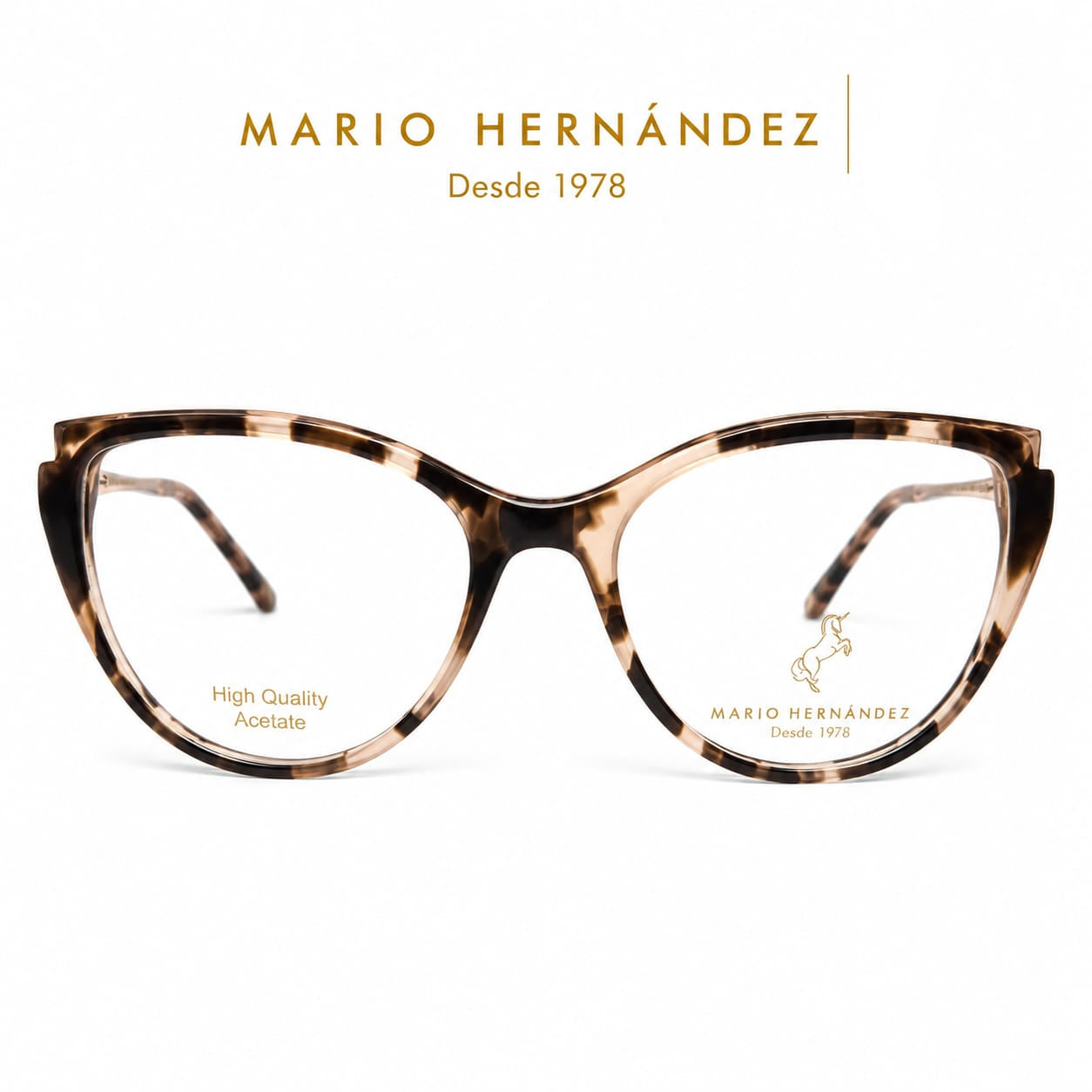 MARIO HERNANDEZ
