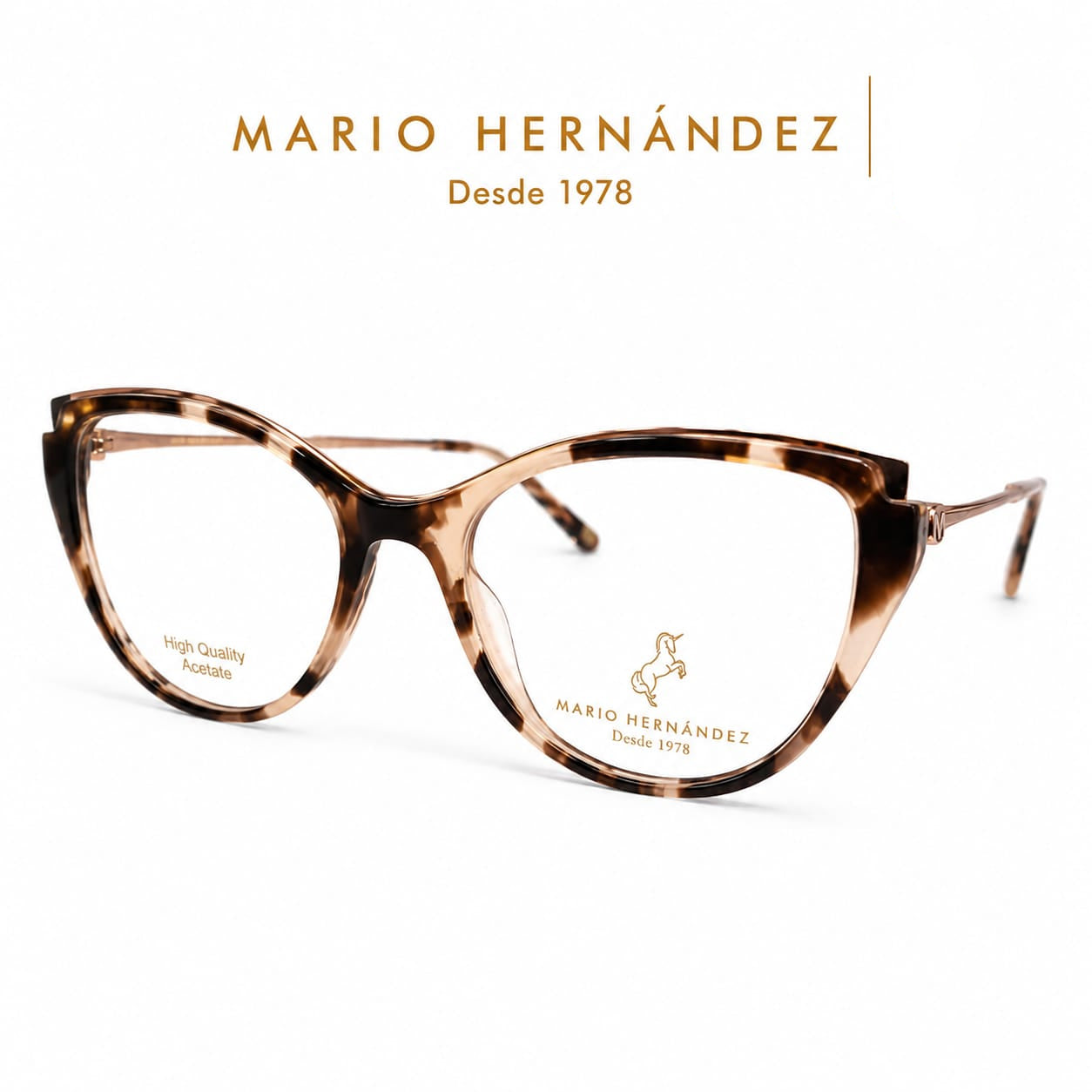 MARIO HERNANDEZ
