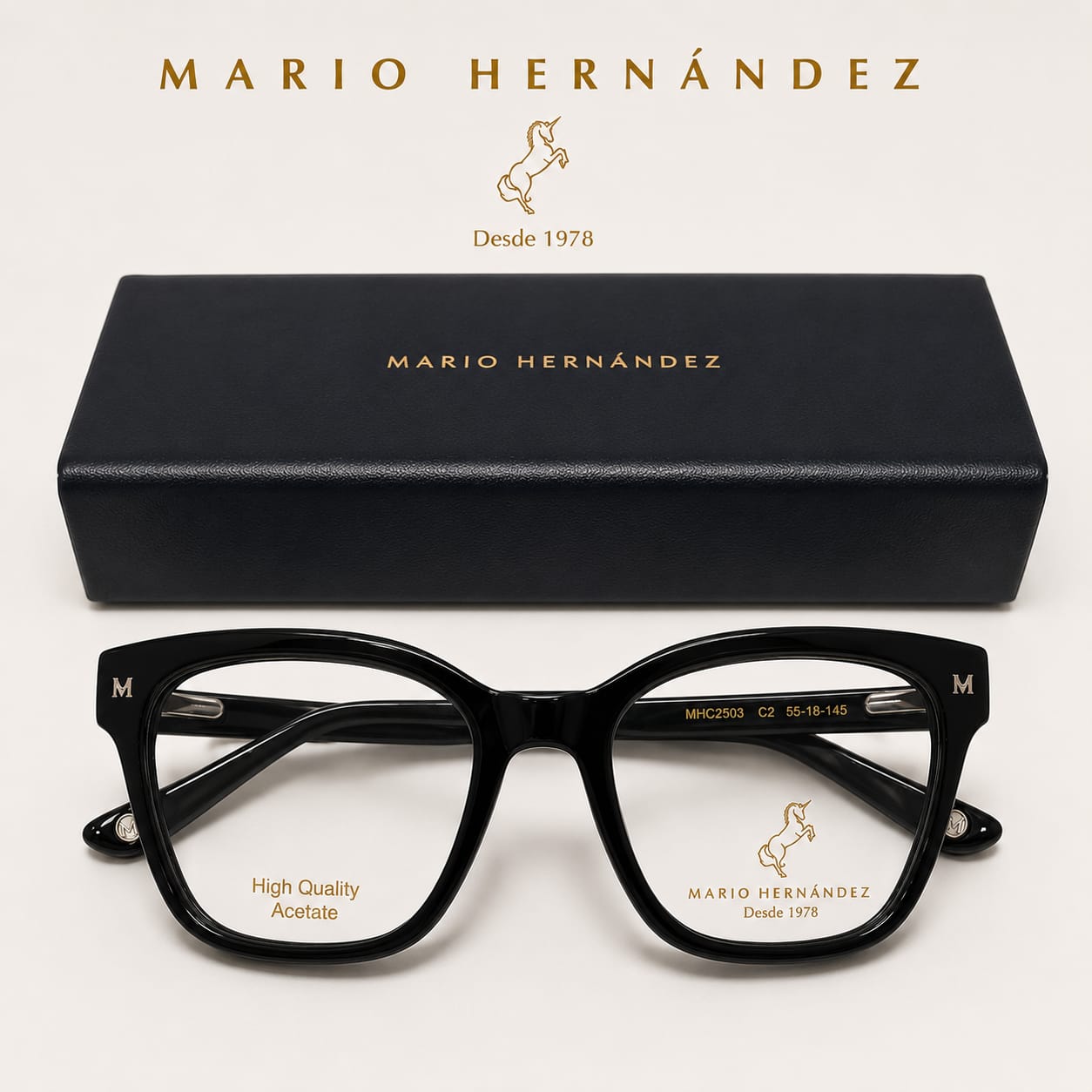 MARIO HERNANDEZ