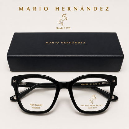 MARIO HERNANDEZ