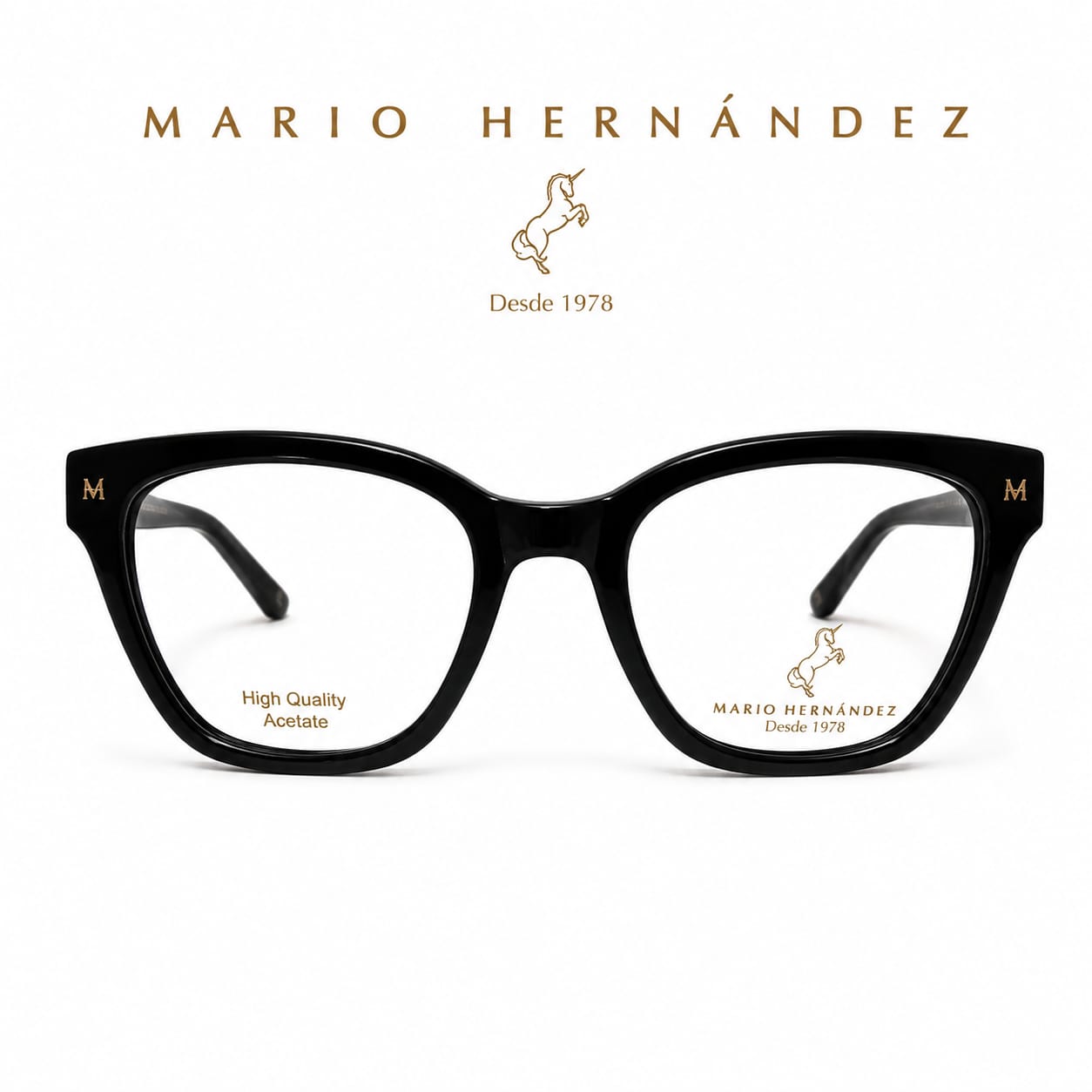 MARIO HERNANDEZ