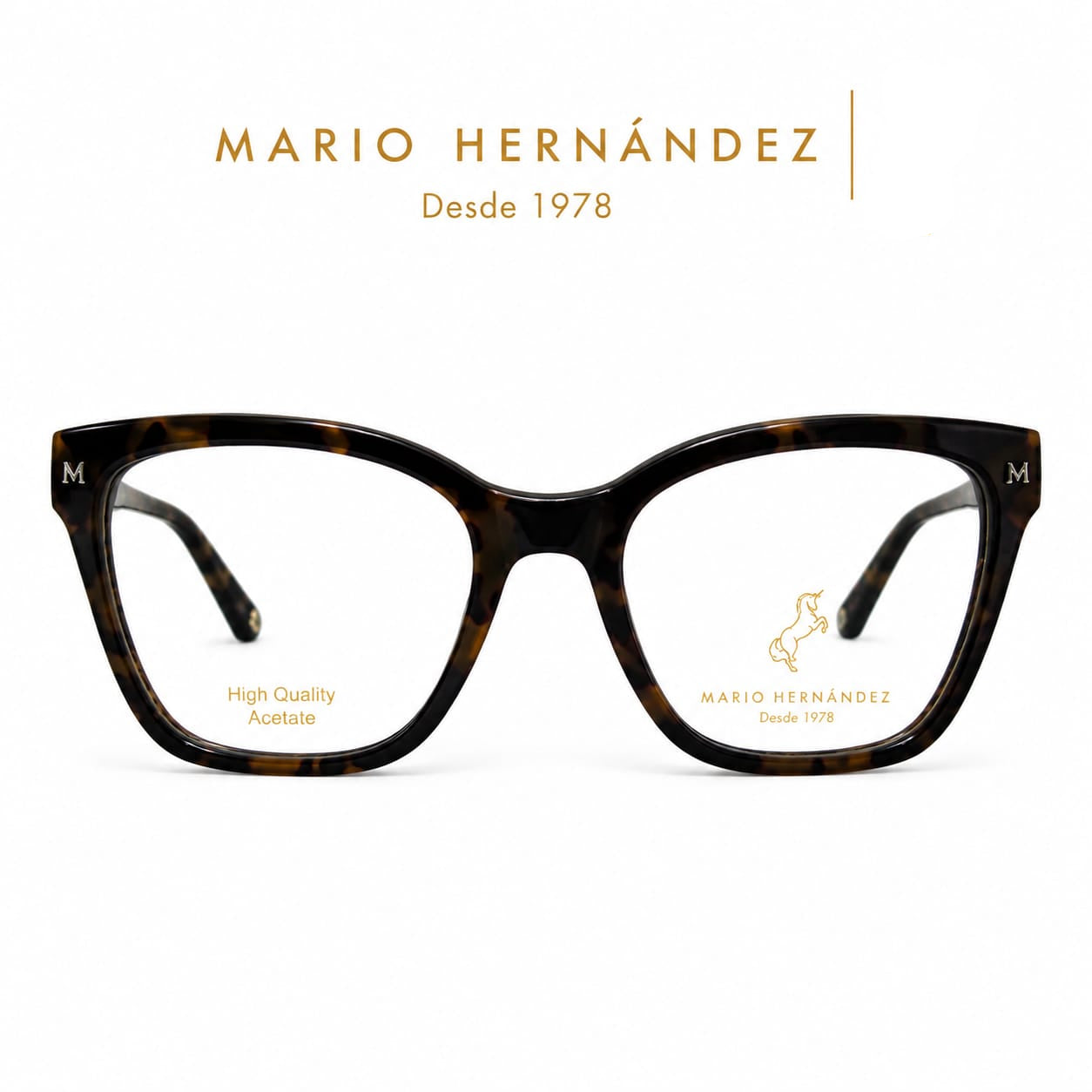 MARIO HERNANDEZ