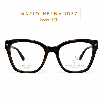 MARIO HERNANDEZ