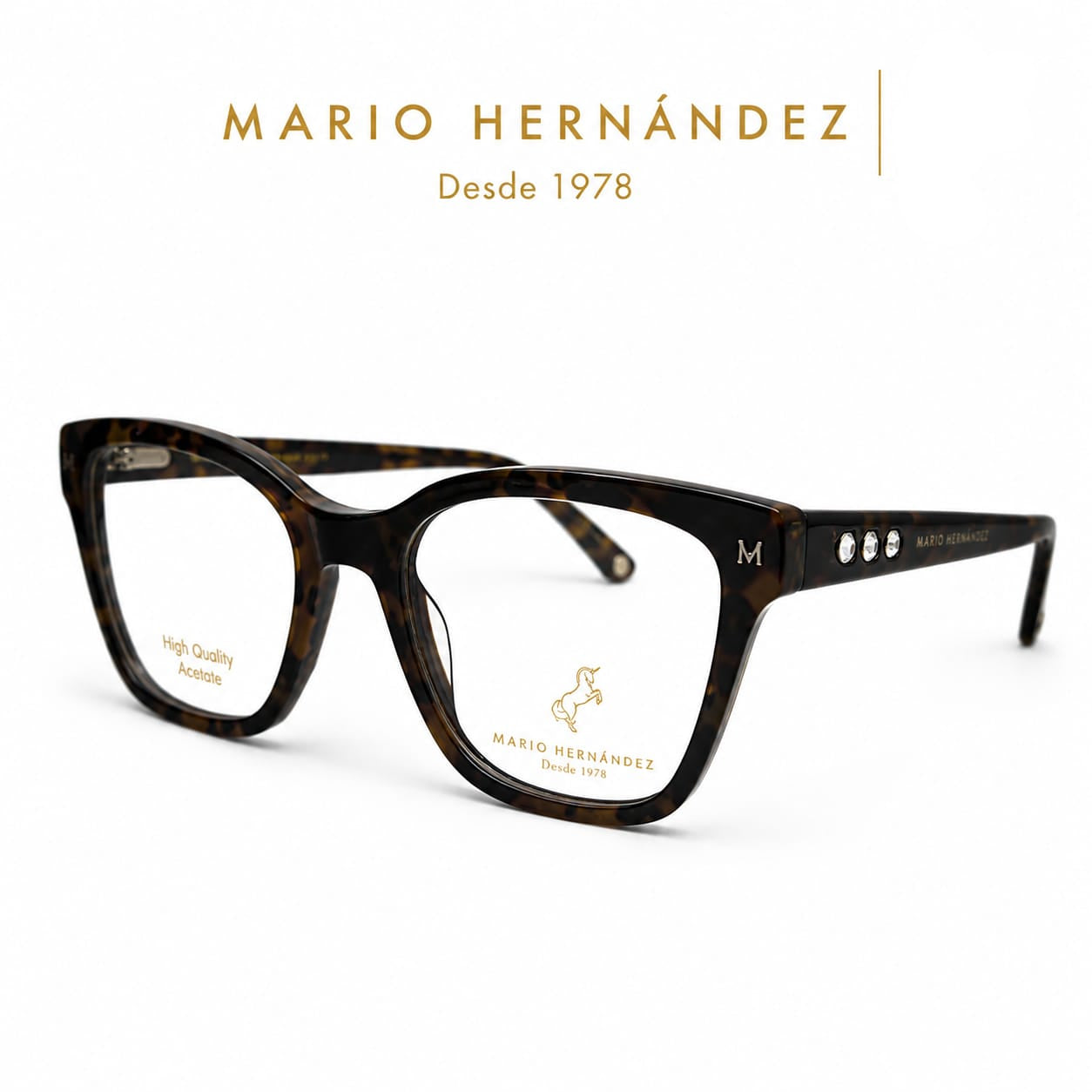 MARIO HERNANDEZ