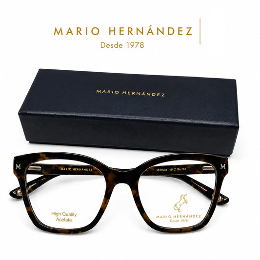 MARIO HERNANDEZ