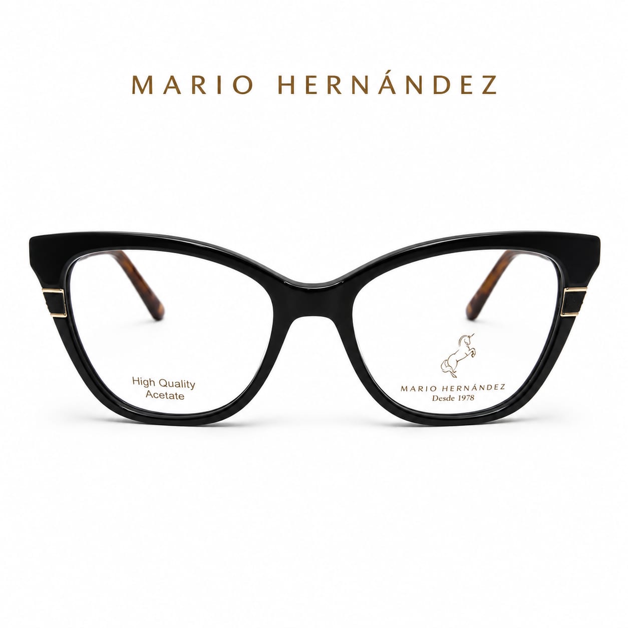 MARIO HERNANDEZ