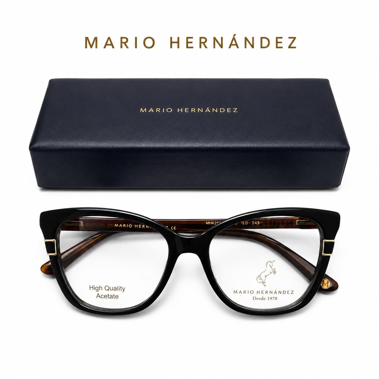 MARIO HERNANDEZ