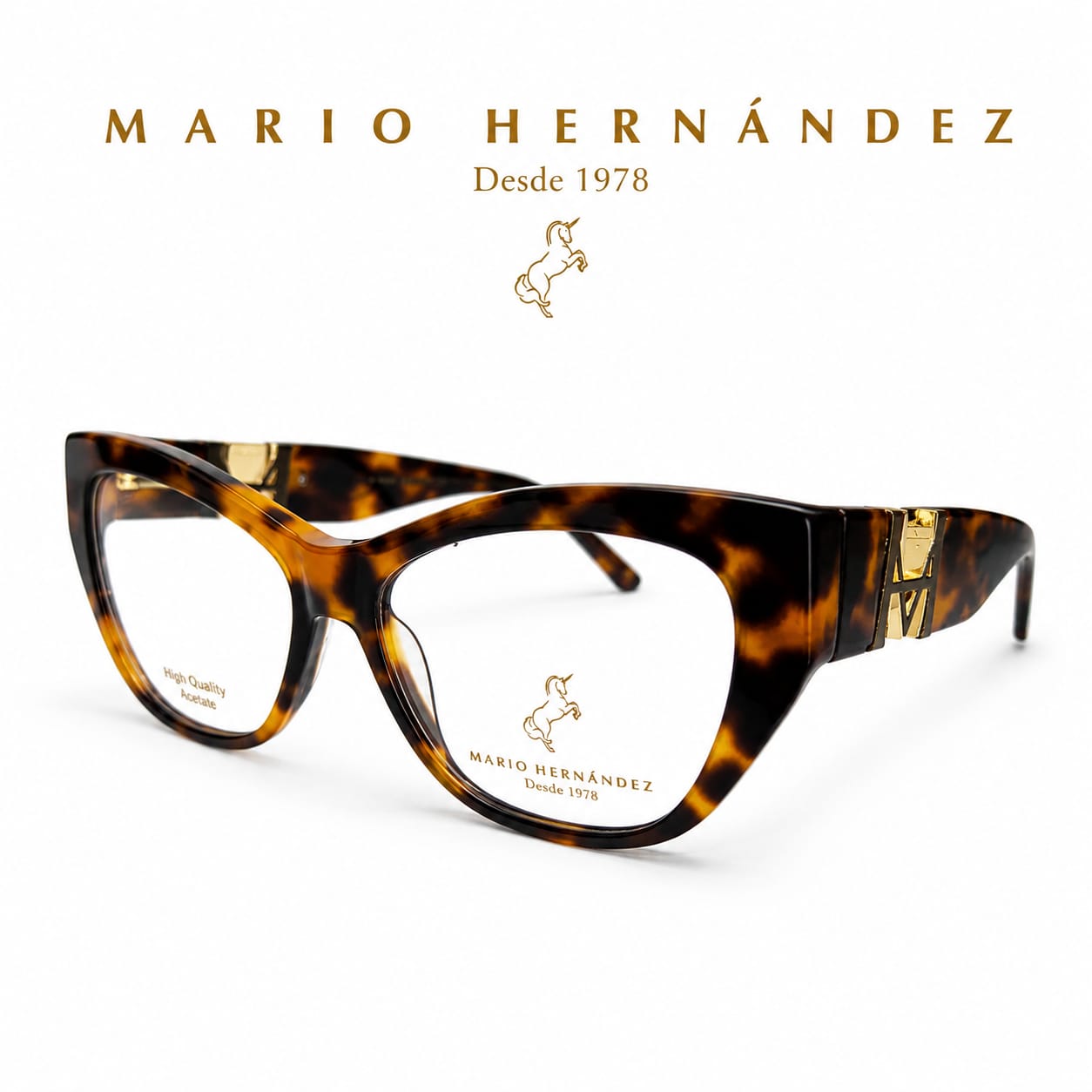 MARIO HERNANDEZ