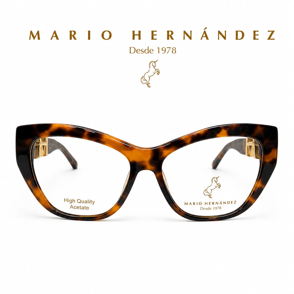 MARIO HERNANDEZ