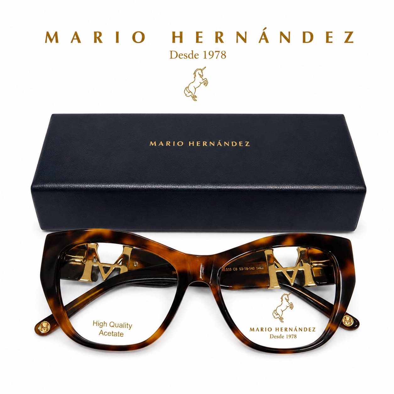 MARIO HERNANDEZ