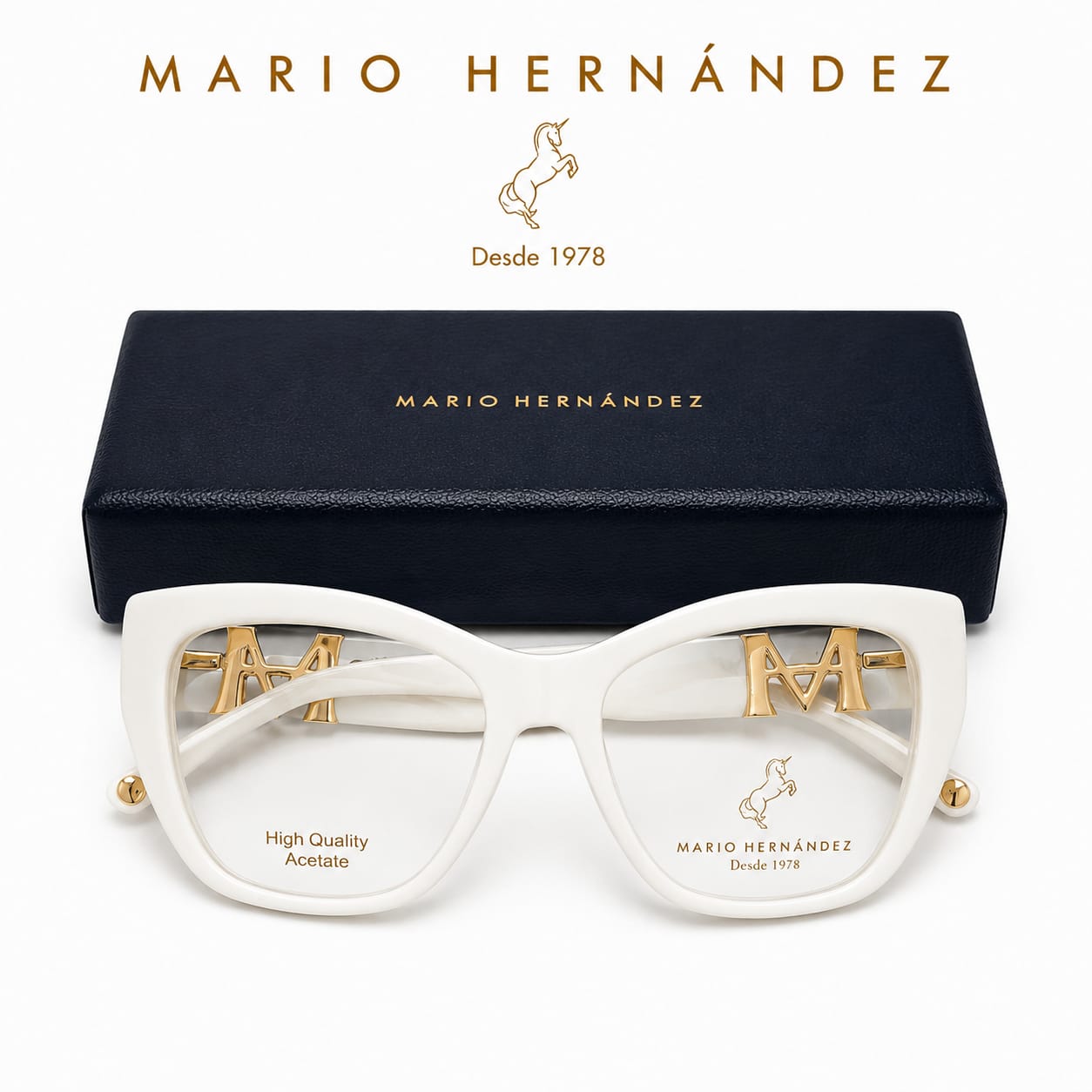 MARIO HERNANDEZ
