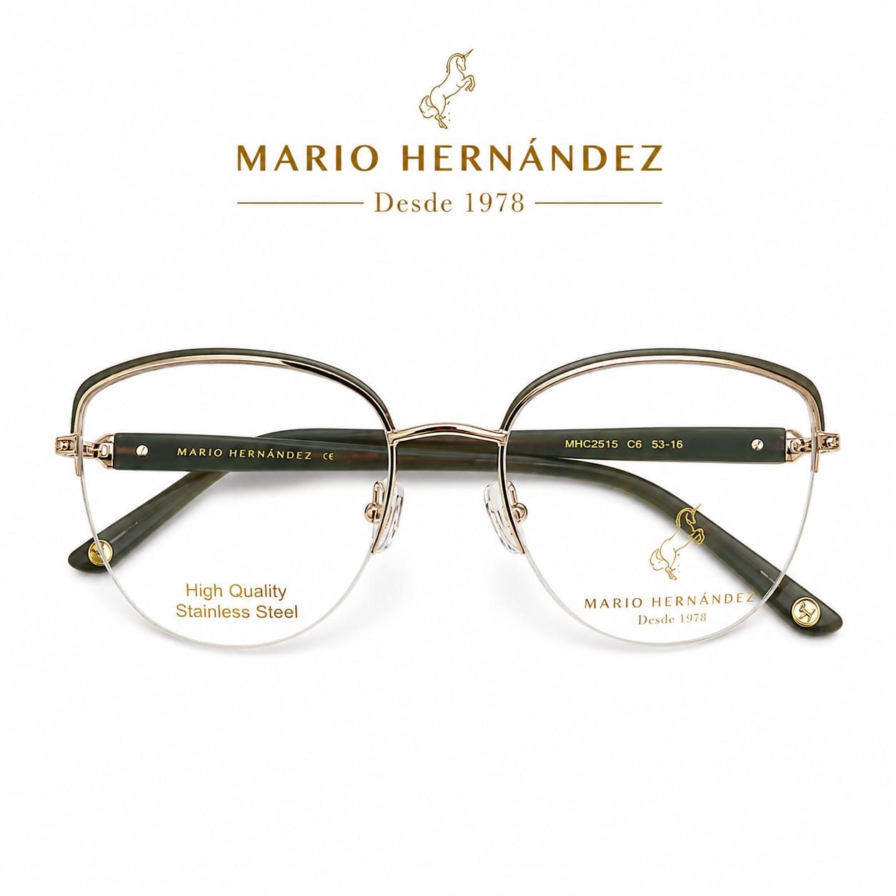 MARIO HERNANDEZ