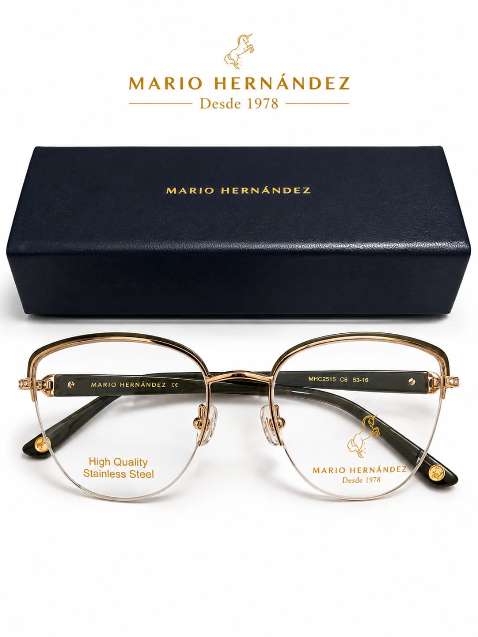 MARIO HERNANDEZ