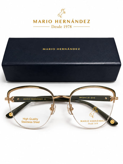 MARIO HERNANDEZ