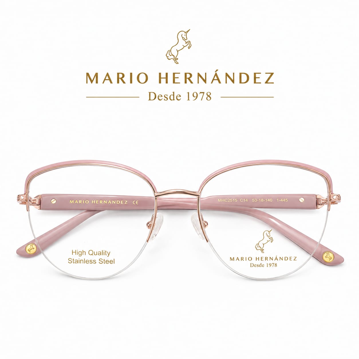 MARIO HERNANDEZ