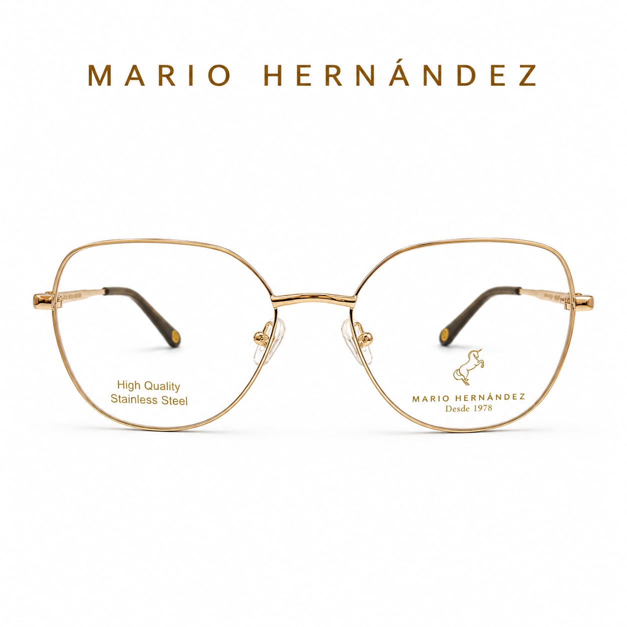 MARIO HERNANDEZ