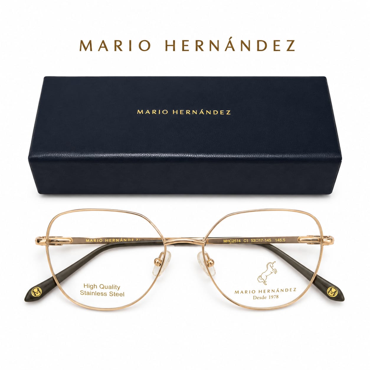 MARIO HERNANDEZ