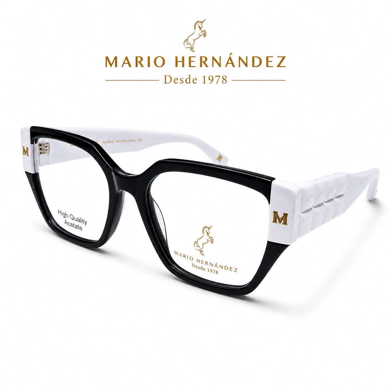MARIO HERNANDEZ