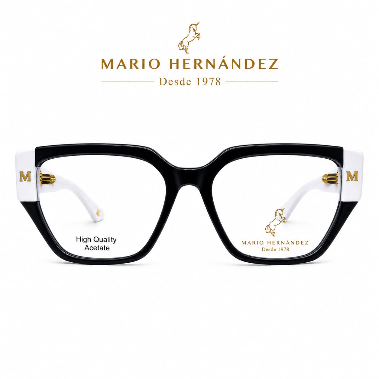 MARIO HERNANDEZ