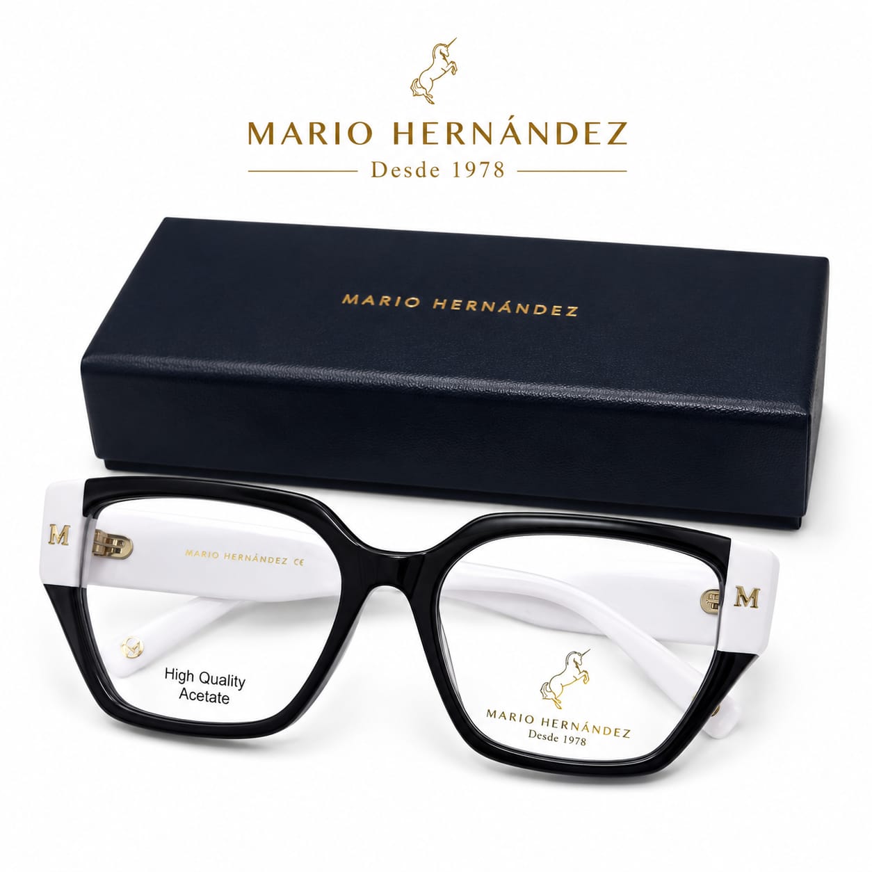 MARIO HERNANDEZ