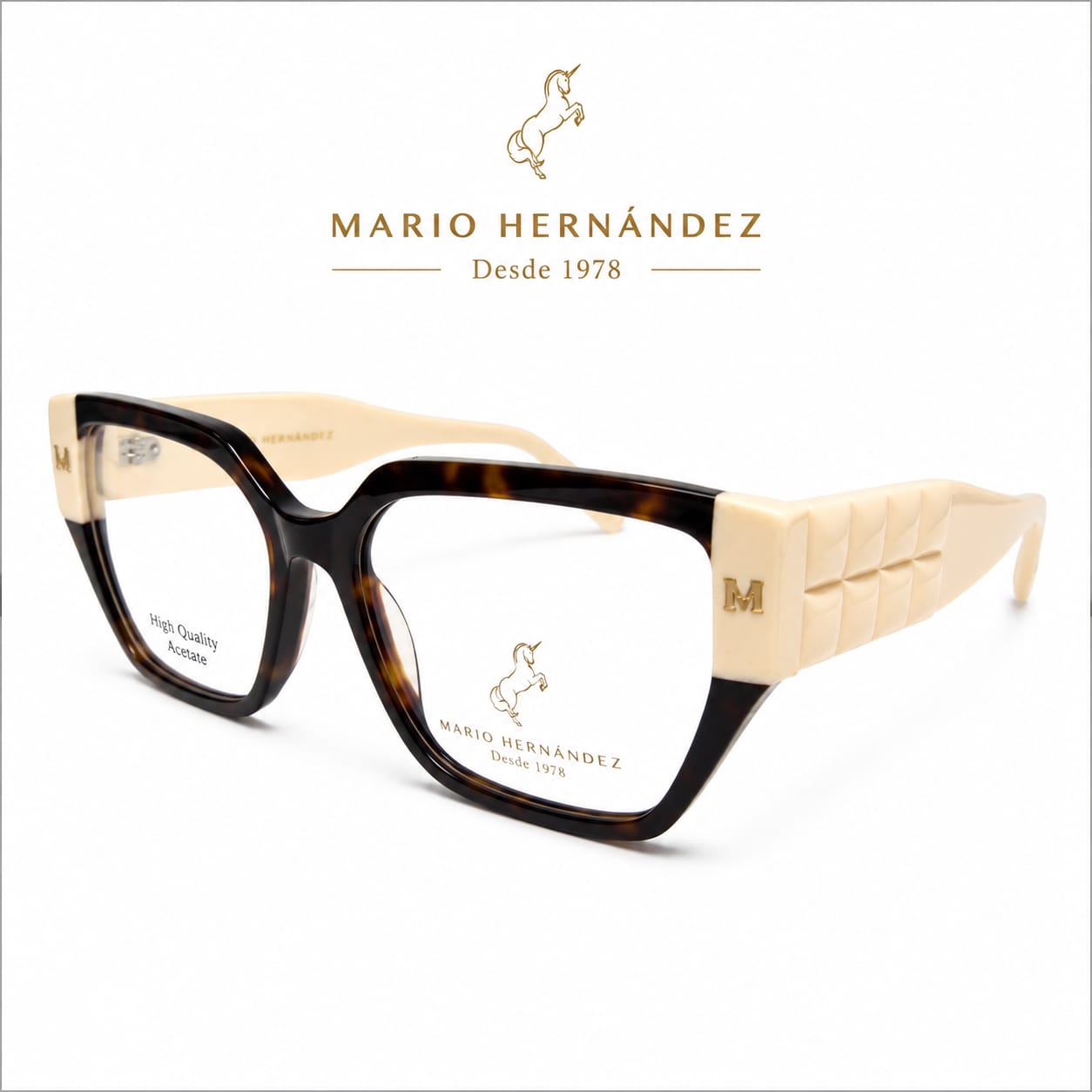 MARIO HERNANDEZ