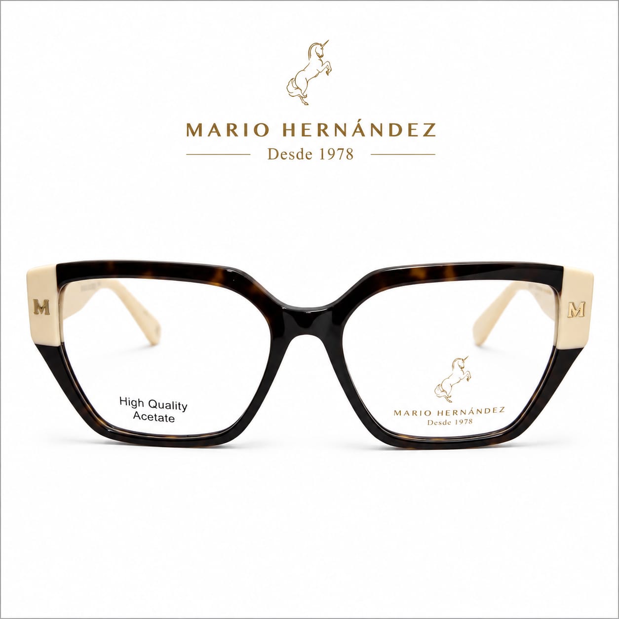 MARIO HERNANDEZ