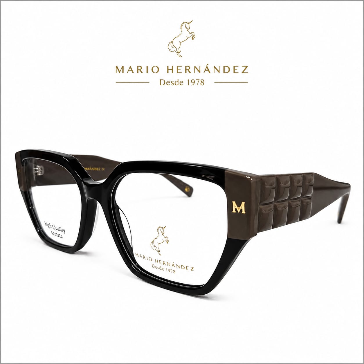 MARIO HERNANDEZ