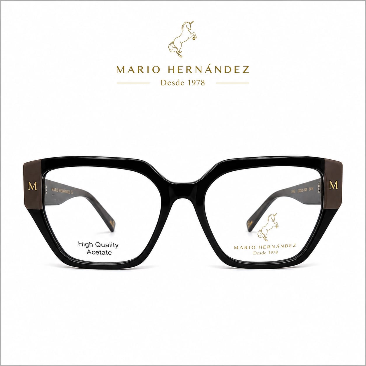 MARIO HERNANDEZ