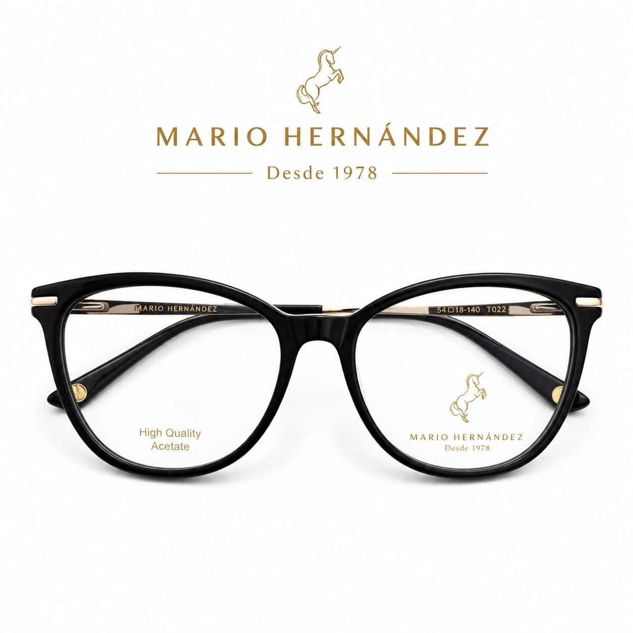 MARIO HERNANDEZ