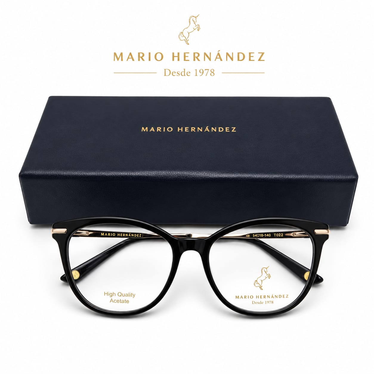 MARIO HERNANDEZ