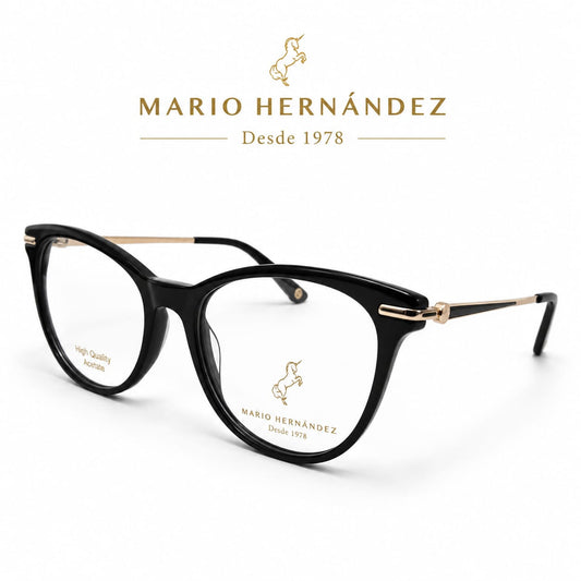 MARIO HERNANDEZ