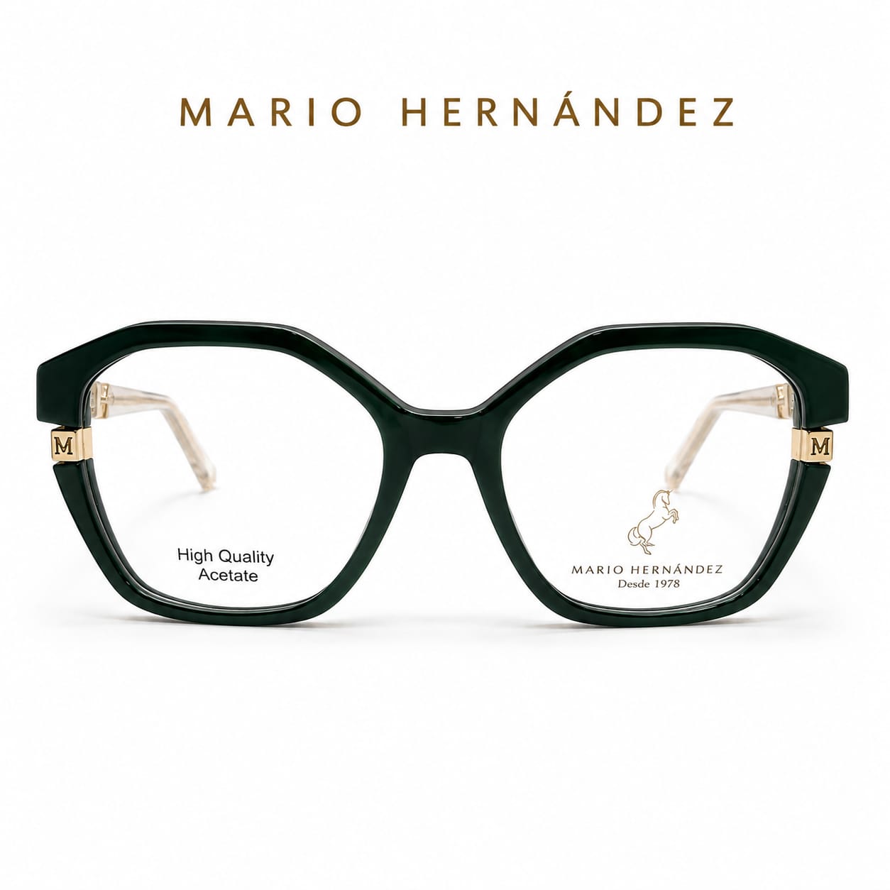 MARIO HERNANDEZ
