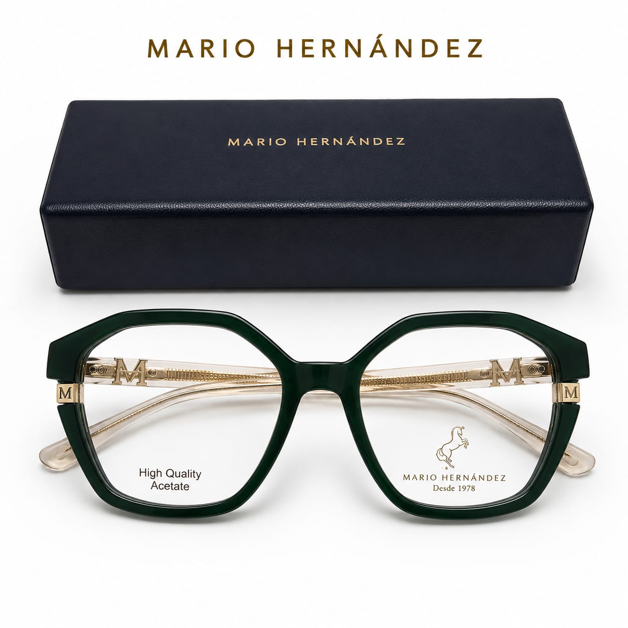 MARIO HERNANDEZ