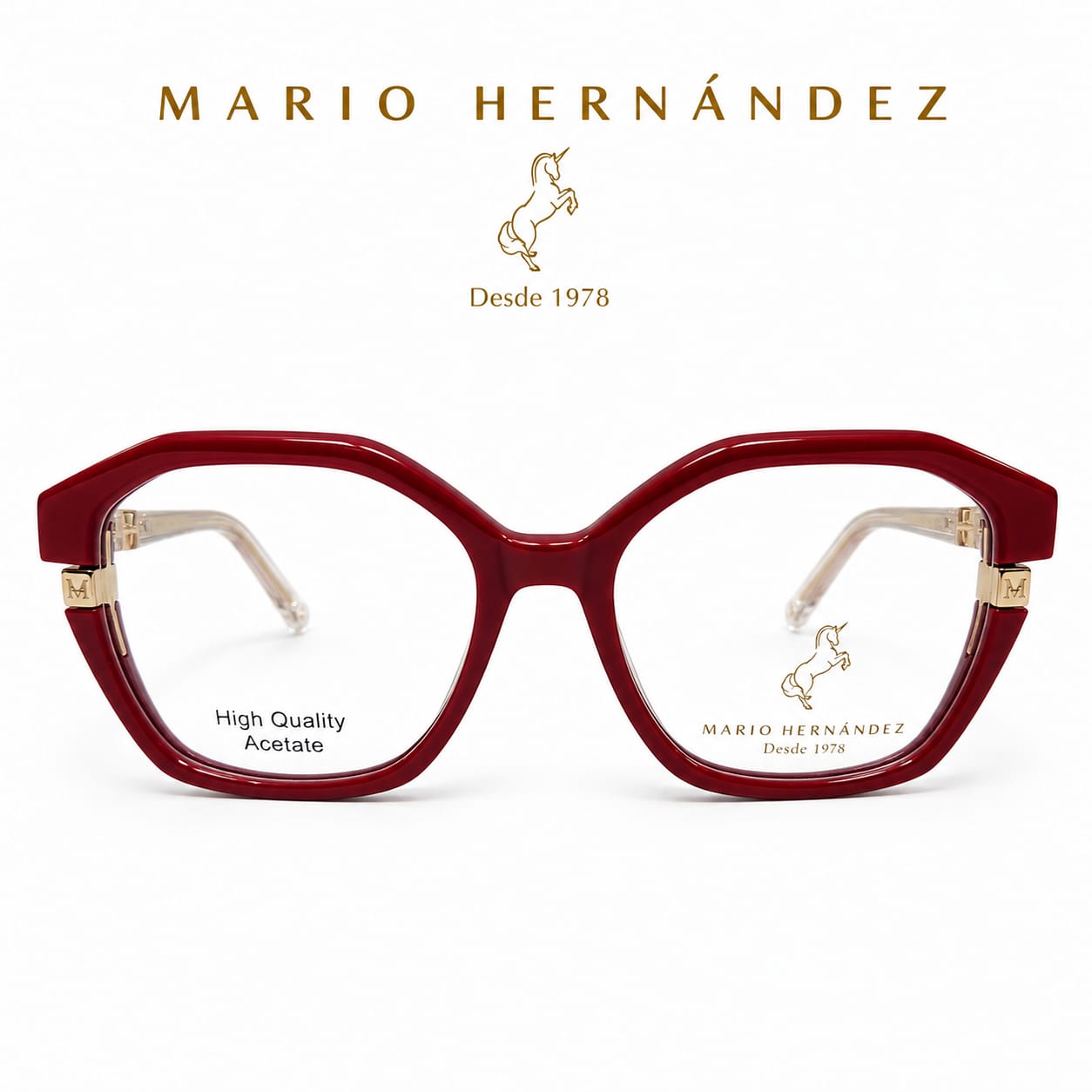 MARIO HERNANDEZ