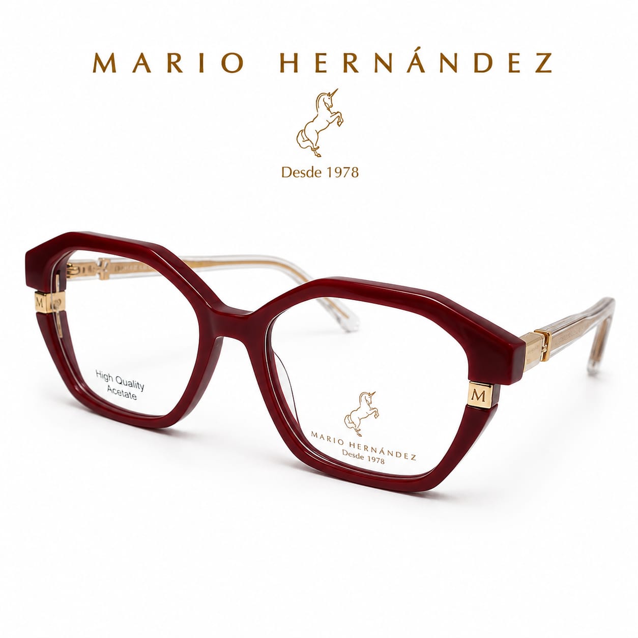 MARIO HERNANDEZ