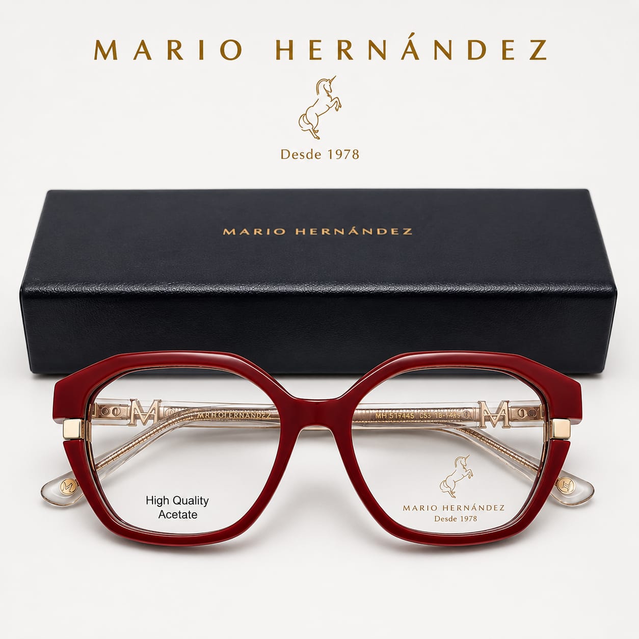 MARIO HERNANDEZ